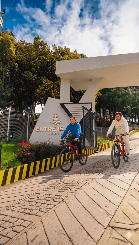 BICICLETA 1
